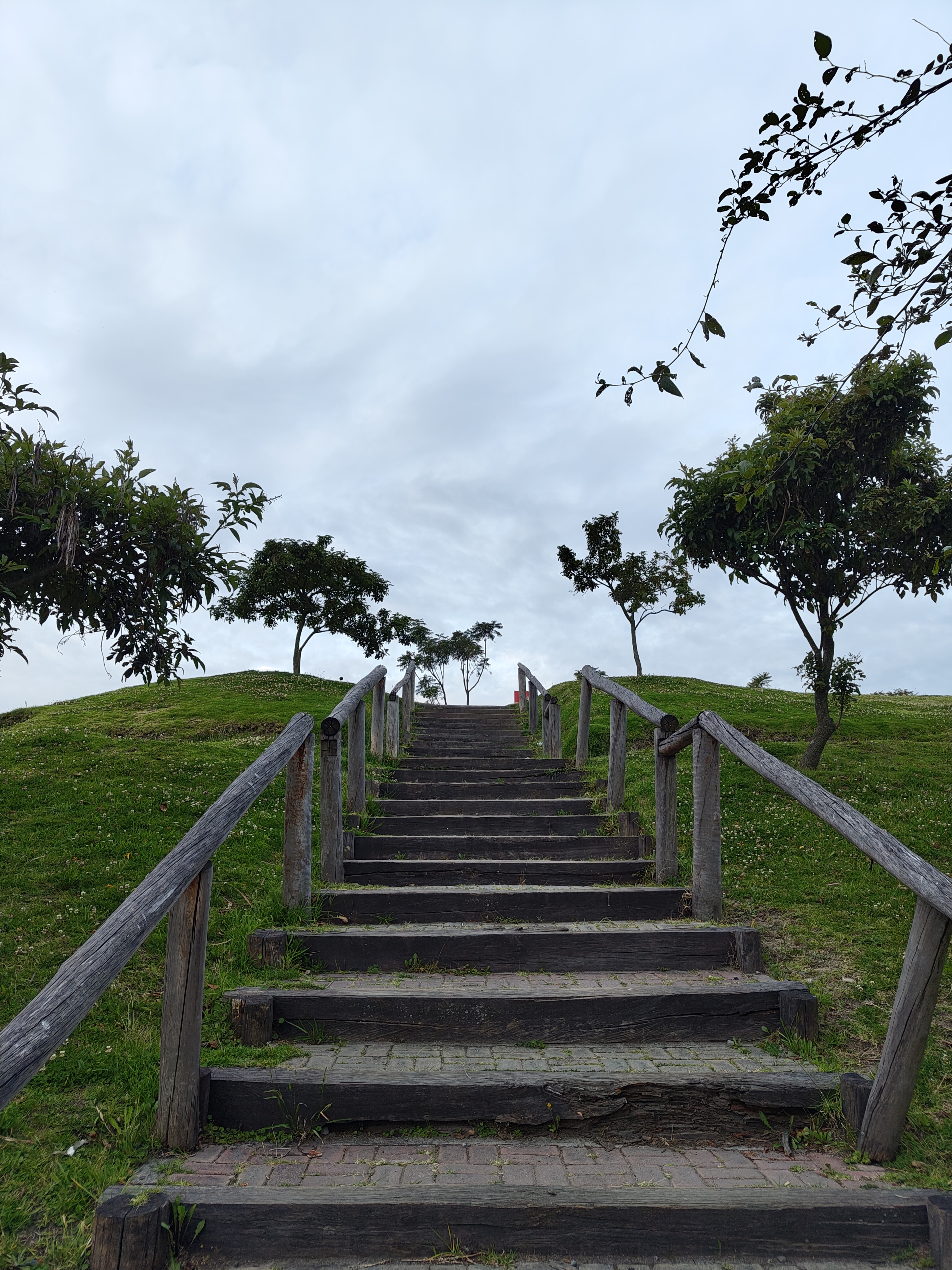 Parque Bicentenario 5